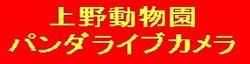 上野パンダライブカメラ